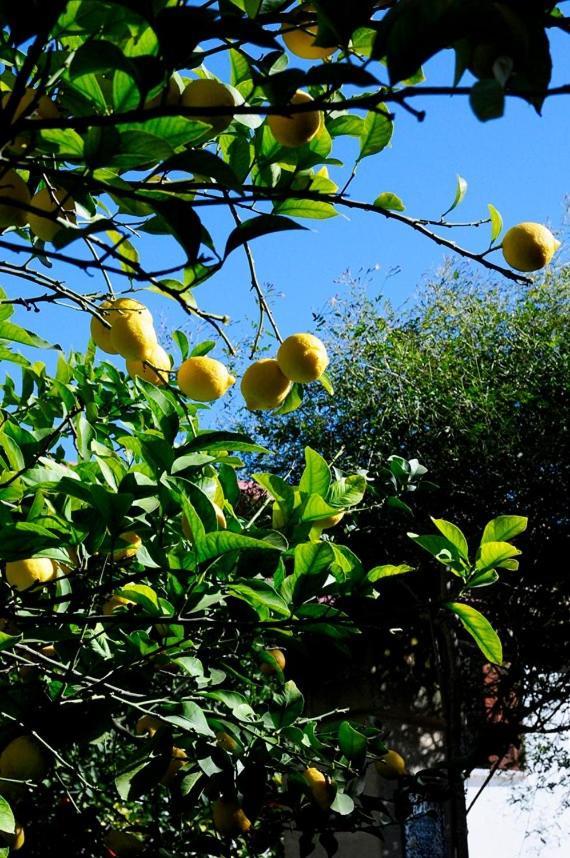 格罗塔列Il Giardino住宿加早餐旅馆 外观 照片